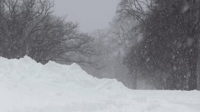 Heavy snowfall covers landscape, thick layers of white powder across ground. Bare tree branches reach out against pale gray sky, winter scene. Snowflakes fall steadily, blending with misty air - Powered by Shutterstock - Get 15% off with code: PIKWIZARD15