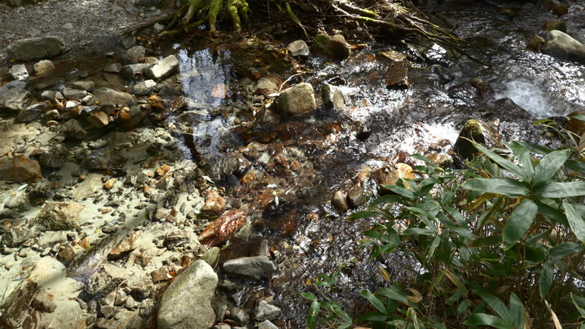 Crystal Clear Water of a Mountain Stream (Real Time | ZOOM IN): Kamikochi, Nagano Prefecture, Japan