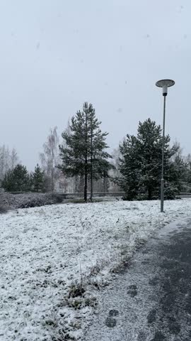 holidng snow from the hand