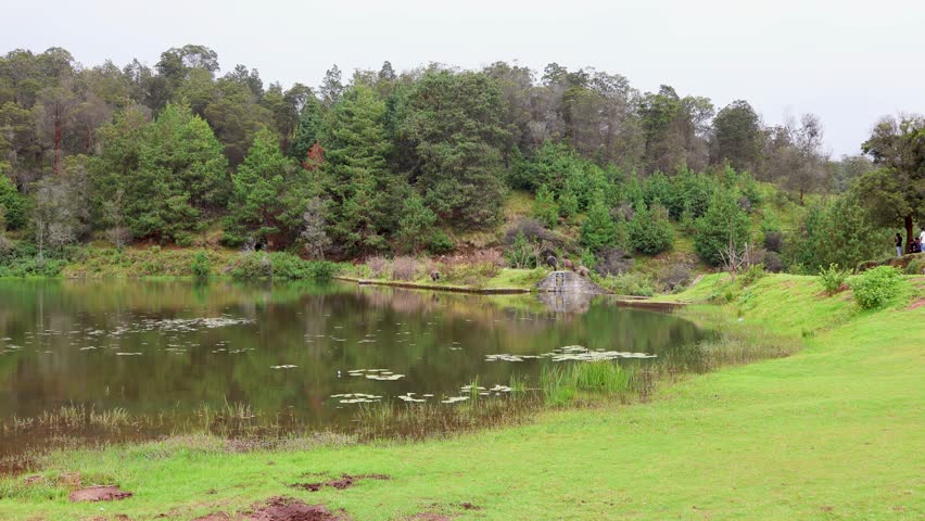 Mannavanur Lake, Kodaikanal, India 29th October 2024: Beautiful village fresh water location. Coracle boating Spot. Dindigul district. 35 km away from the Kodai valley, Poombarai. 