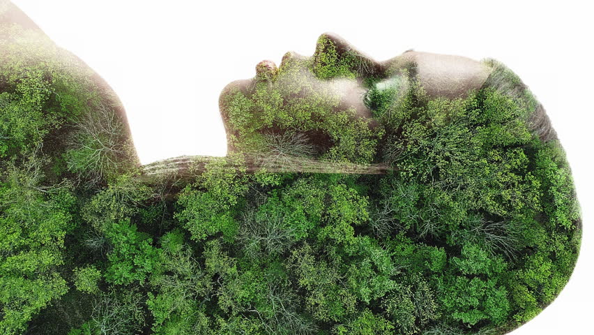 Vertical video. Nature portrait. Ecology beauty. Green forest trees in lady silhouette double exposure isolated on white background.