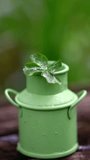 Four-leaf clover in green bucket in nature, symbol of good luck - Powered by Shutterstock - Get 15% off with code: PIKWIZARD15