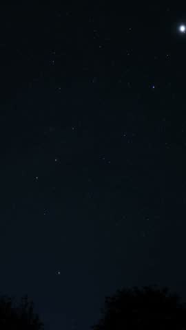 Ursa major is rotating in the night sky above the silhouette of a tree