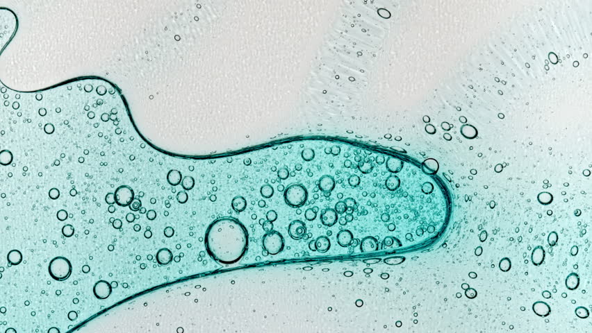 Various Bacteria, Tissue and Cells. Virus Testing Samples at Medical Lab Facility. Concept of Pharmaceutical Research for Antibiotics, Curing Disease. A Colony of Mold in a Petri Dish