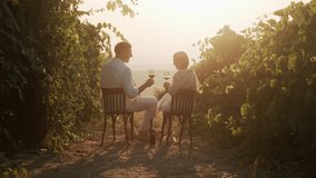 Happy couple in love laughing smiling during romantic date in nature, drinking wine in vineyards at sunset. Travel, vacation, honeymoon, anniversary celebration - Powered by Shutterstock - Get 15% off with code: PIKWIZARD15