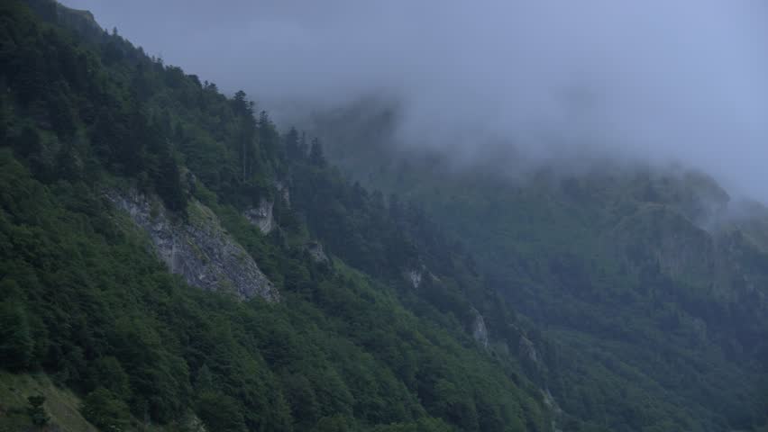 Camera panning shot of fog rolling over trees in a mountainous region of France.