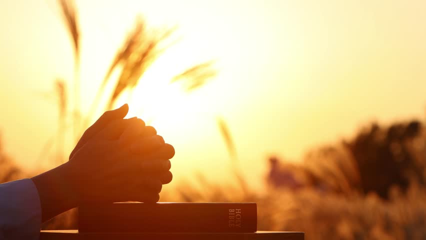 Christian praying with both hands together on the holy bible, sunset scenery of autumn barley field with reeds swaying in the wind and setting sun, Thanksgiving background
