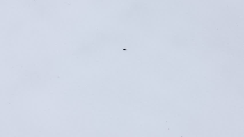 footprints on the snow stock video