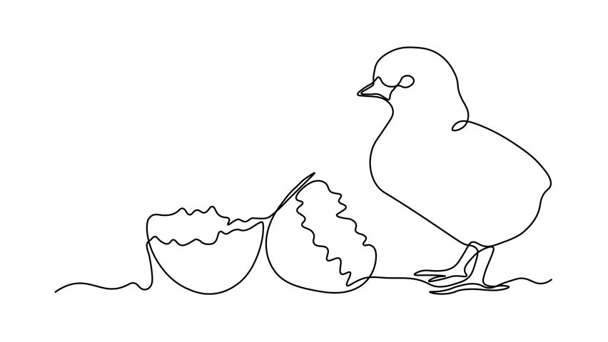 Abstract broken empty egg, egg shell and small newborn chick, Self drawing animation one continuous line draw, logo
