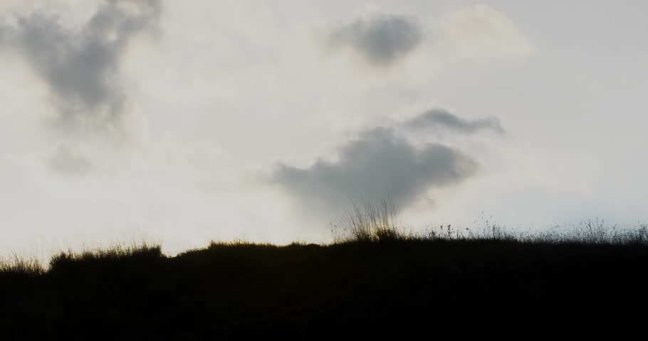 The idea of cheap labor for hire. A Mexican worker obediently goes to the excavation in the morning. His hands are symbolically fixed with a shovel