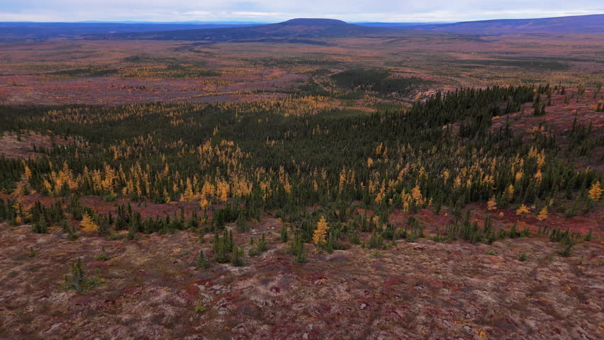 Autumn Color Nature Over Eagle Plains Along Dempster Highway In Northern Yukon, Canada. Aerial Drone Shot