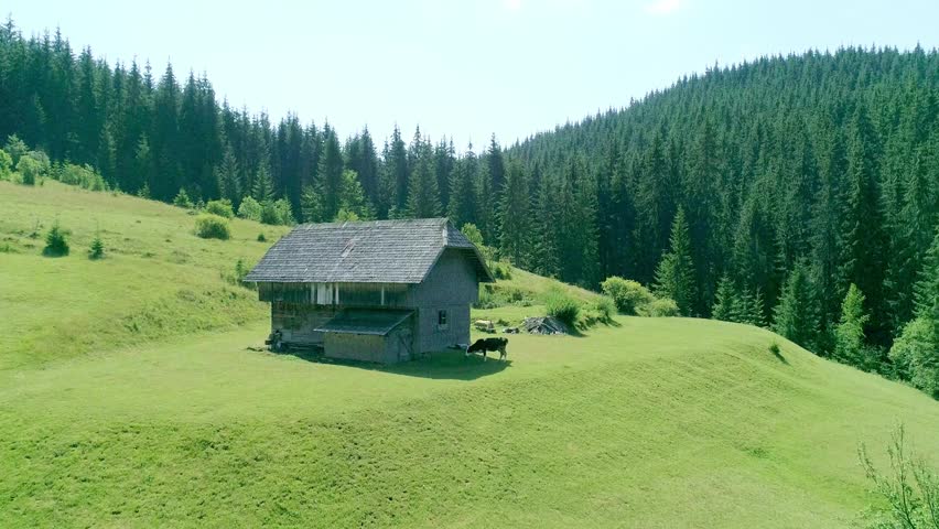 Small cute house on green field in mountain area, farmhouse and farmland, green serene field, countryside idyllic, outdoor house village