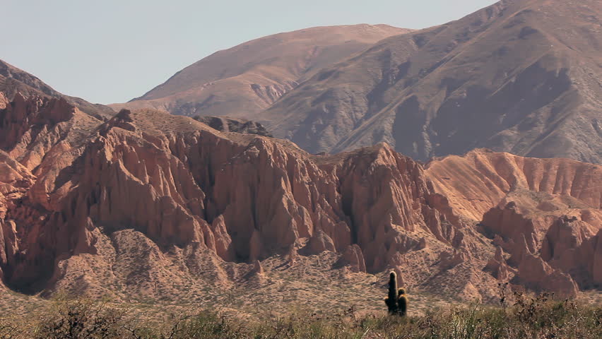 Cardón Cactus in the Argentine Altiplano, Salta Province, Argentina - 4K