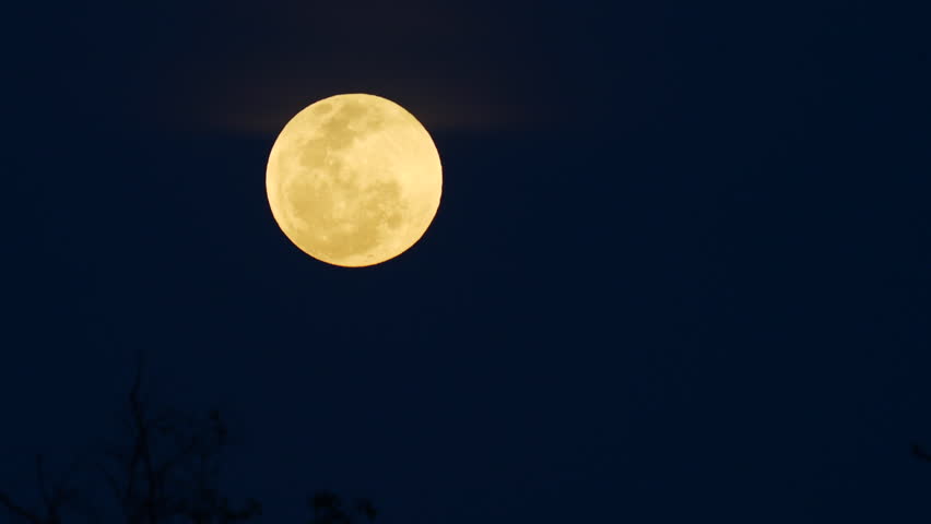 Full moon over the trees