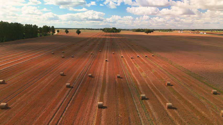 A wide aerial view of a harvested field with neatly arranged hay bales under a bright blue sky filled with fluffy clouds. Ideal for themes related to agriculture, harvest season, and rural landscapes.