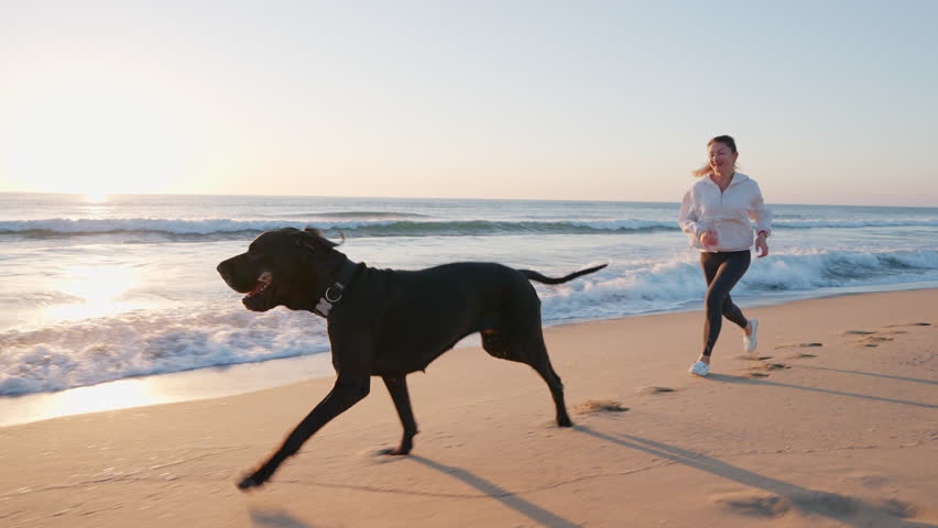Woman running joyfully black dog Great Dane with stick alongside on sandy beach at sunrise. Playful, energetic moment backdrop of waves and glowing horizon summer. Freedom, companionship. Travel