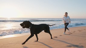 Woman running joyfully black dog Great Dane with stick alongside on sandy beach at sunrise. Playful, energetic moment backdrop of waves and glowing horizon summer. Freedom, companionship. Travel - Powered by Shutterstock - Get 15% off with code: PIKWIZARD15