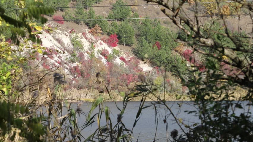 nature, autumn, lake, river, shore, wind, colors, road, arch, water, reeds