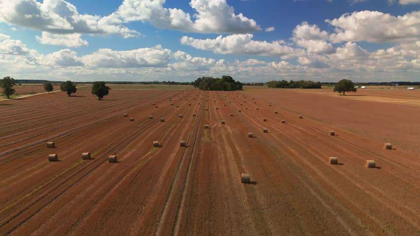A wide aerial view of a harvested field with neatly arranged hay bales under a bright blue sky filled with fluffy clouds. Ideal for themes related to agriculture, harvest season, and rural landscapes.