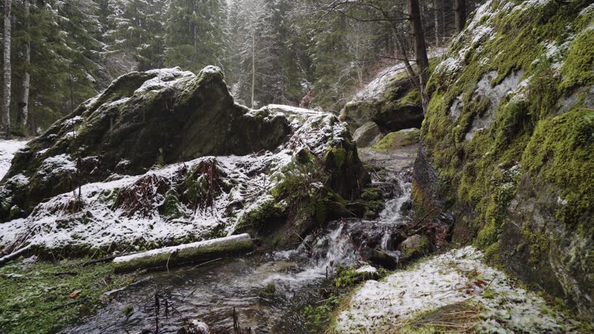 A small, quiet river in the middle of the forest in winter with snow and rain - static shot