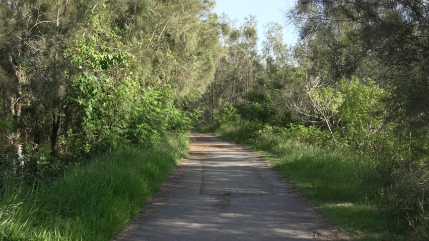 Path inside forest park green space with tree landscape, paved road Australia