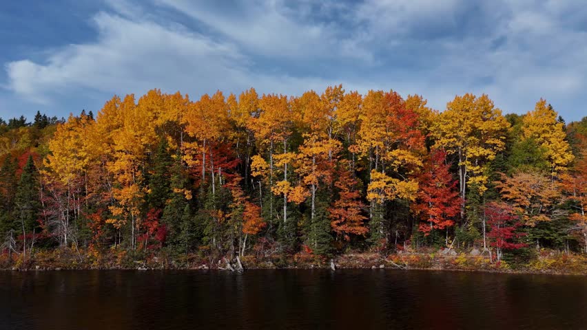 Beautiful scenery of autumn fall foliage colors inside Cape Breton Islands National Park. Warren Lake, Ingonish. Autumn colors of Cape Breton, Nova Scotia. Cabot Trail fall foliage landscape hiking. 
