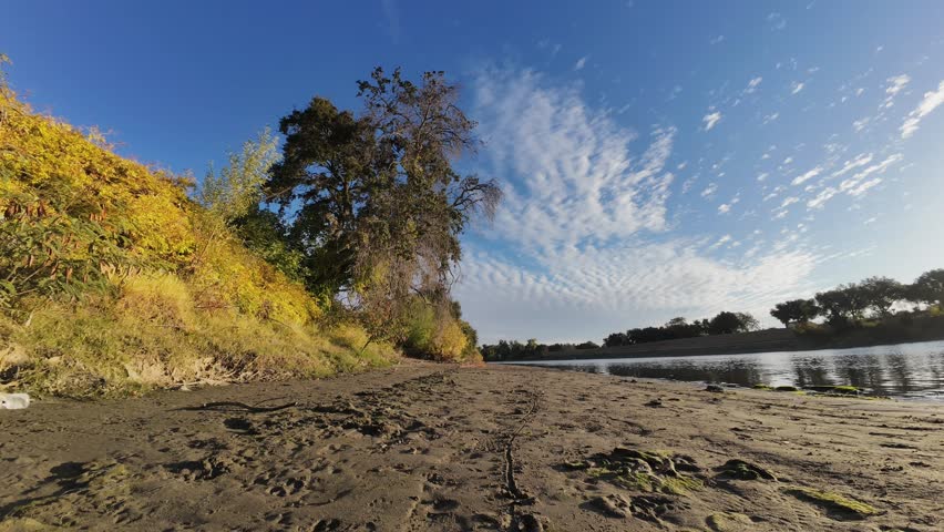 River time lapse zooming into oak tree 