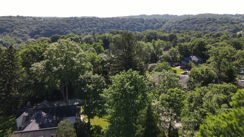 Aerial view of a peaceful suburban neighborhood with houses surrounded by lush green trees, lawns, and gardens. Captured on a sunny day in California, showcasing nature and residential life harmony.