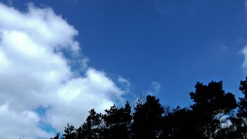 Clouds against trees (time lapse)