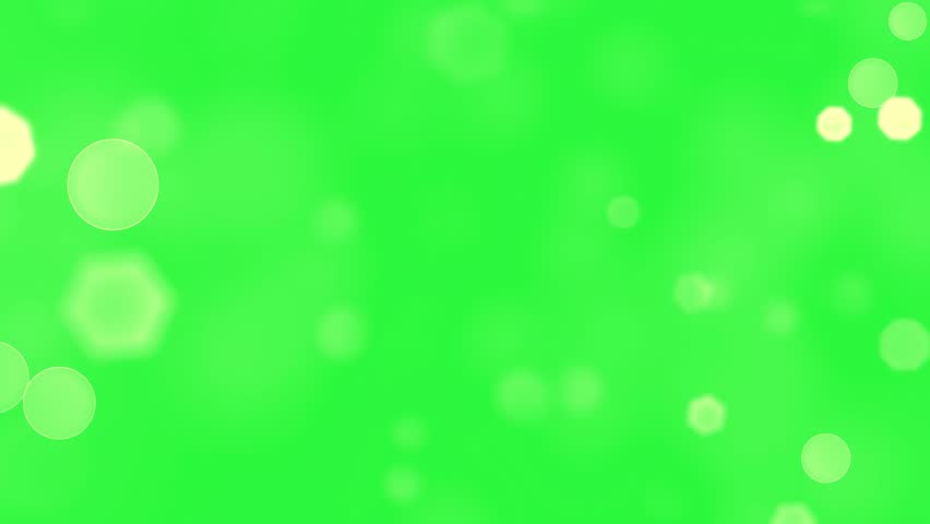 Shutterstock Video