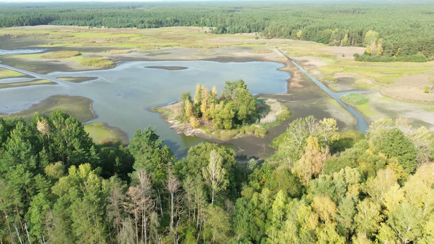 Dried lake bed showing effects of severe drought near forest