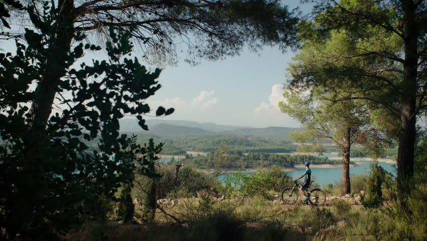 Forest scenery with lake and trees