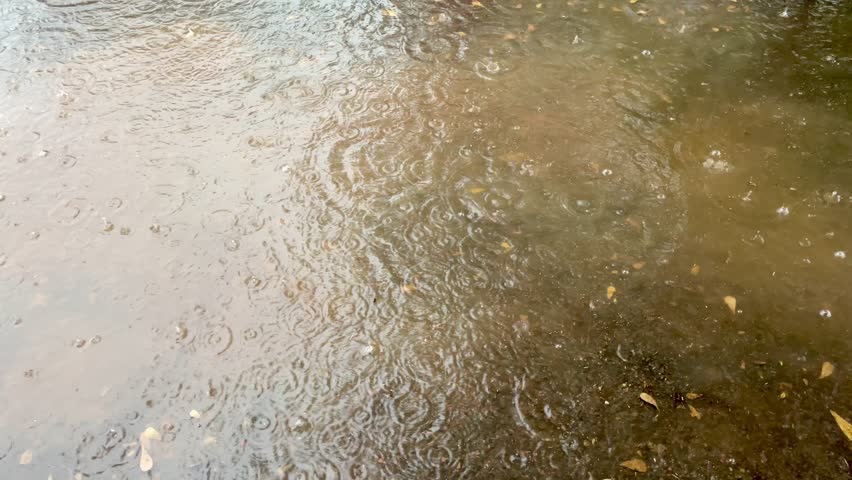 Small raindrops on puddles during the day. Raindrops with stagnant, murky water and raindrops