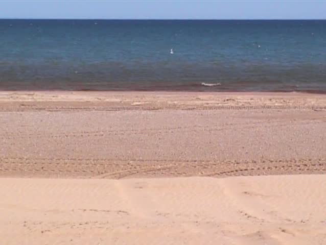 Windy day on the beach