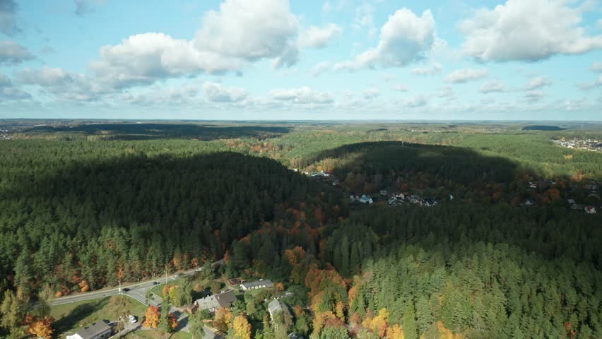 AERIAL: rural landscape with autumn forest
