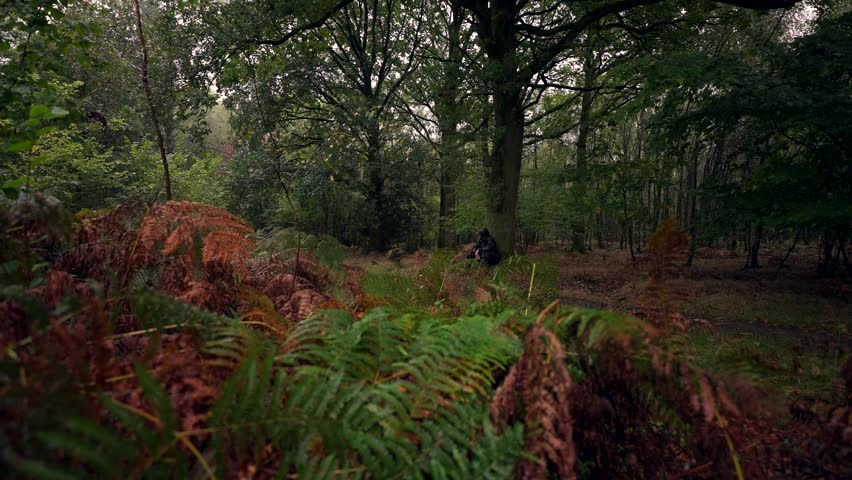 A man sat under a large forest tree in the pouring rain