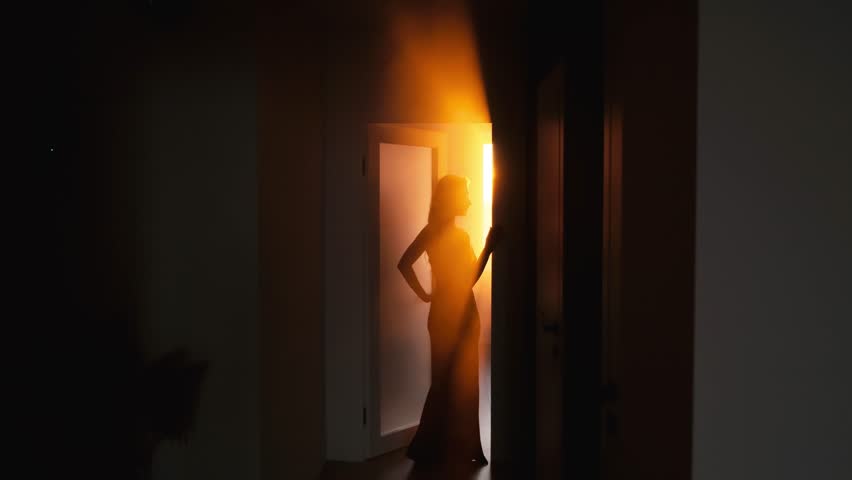 dark shadow silhouette of young woman in long black dress opens door with sun light rays sunset flare, elegance romantic adult girl standing in dark room. Gothic mystery lady back rear view. video 4k