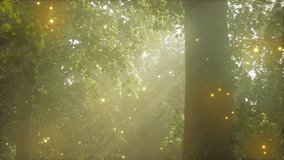 A Magical Forest Illuminated by Fireflies at Sunset - Powered by Shutterstock - Get 15% off with code: PIKWIZARD15