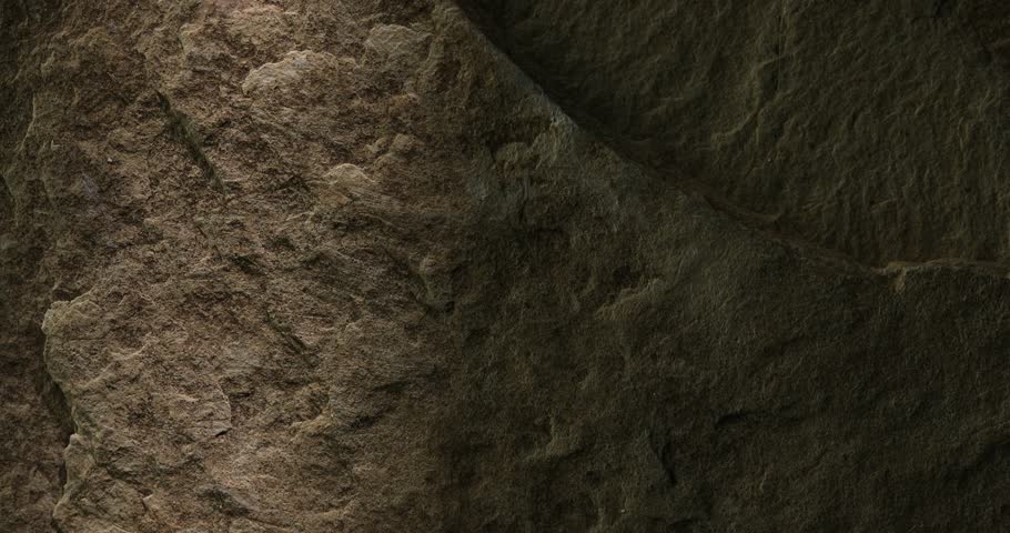 Textured Brown Stone Surface with Natural Crevice