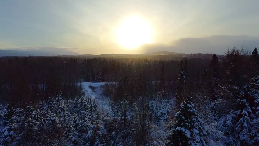 Beautiful sunset over a vast snowy forest, capturing the serene winter landscape and tranquil atmosphere of nature in the twilight light.