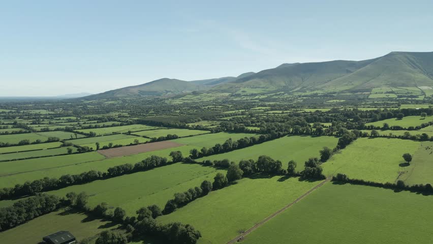 Lush green farmland with distant mountains under clear skies in County Tipperary, Ireland