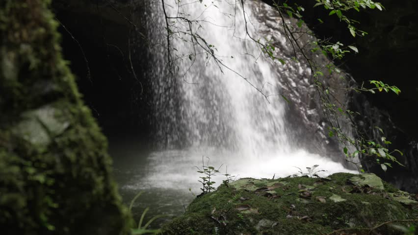 Cave waterfall natural water cascade Springbrook National Park Australia