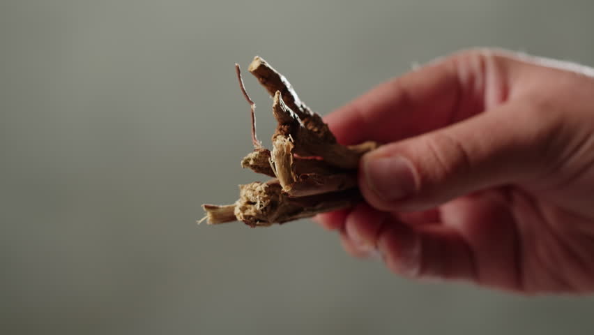 Licorice roots close-up. Herbal detox tea or aroma stick for spa meditation. 