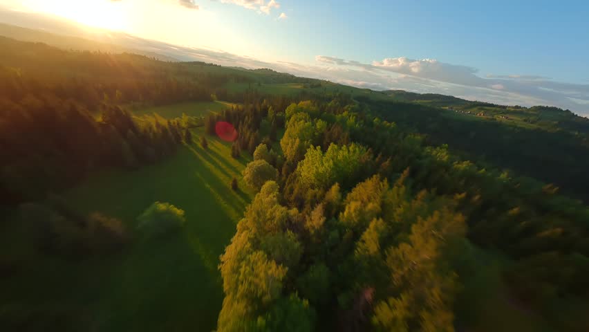 Shutterstock Video