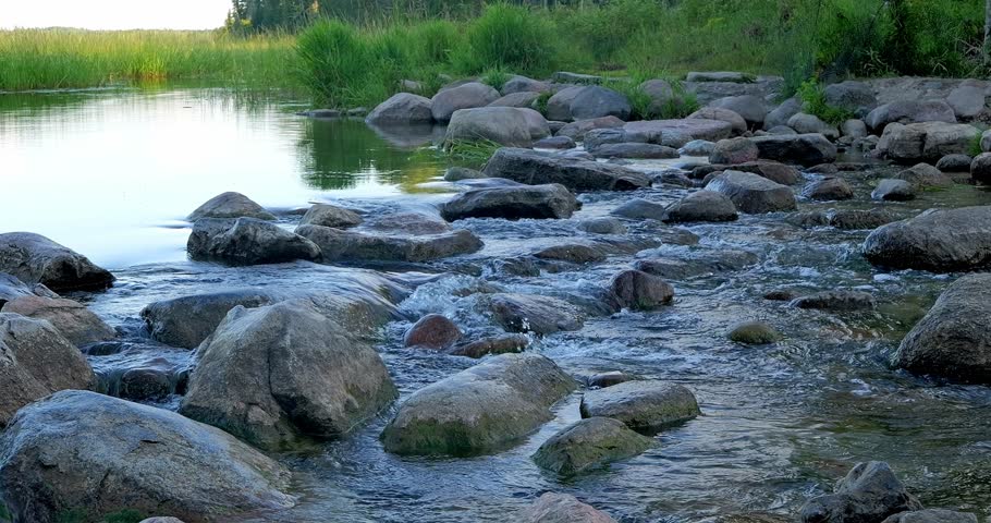 The source or origin of the Mississippi River in Minnesota, with water flowing out of Lake Itasca, in evening light.