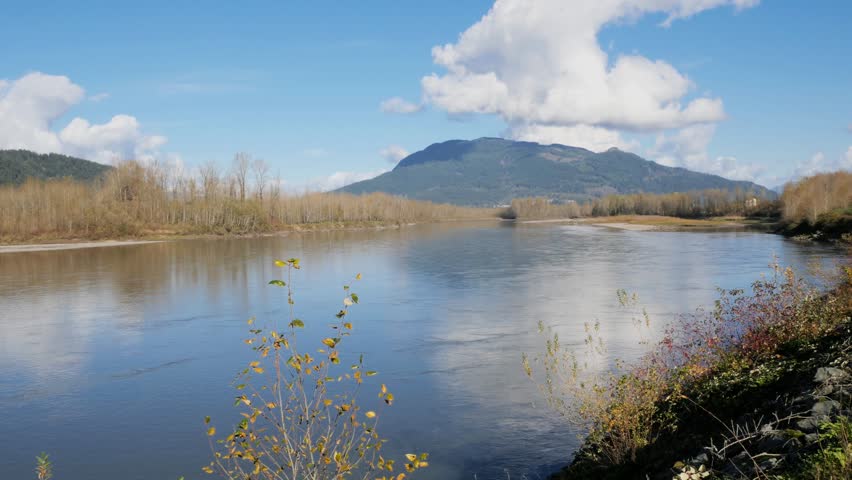 Island 22 Regional Park along Fraser River during a fall season in Chilliwack, British Columbia, Canada