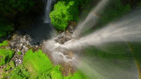 Vertical video. FPV drone dive near the cascading Sekumpul Waterfall, Bali, Indonesia - Powered by Shutterstock - Get 15% off with code: PIKWIZARD15