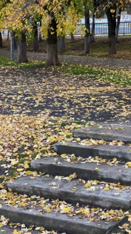 Autumn leaves fall on stone steps, autumn landscape