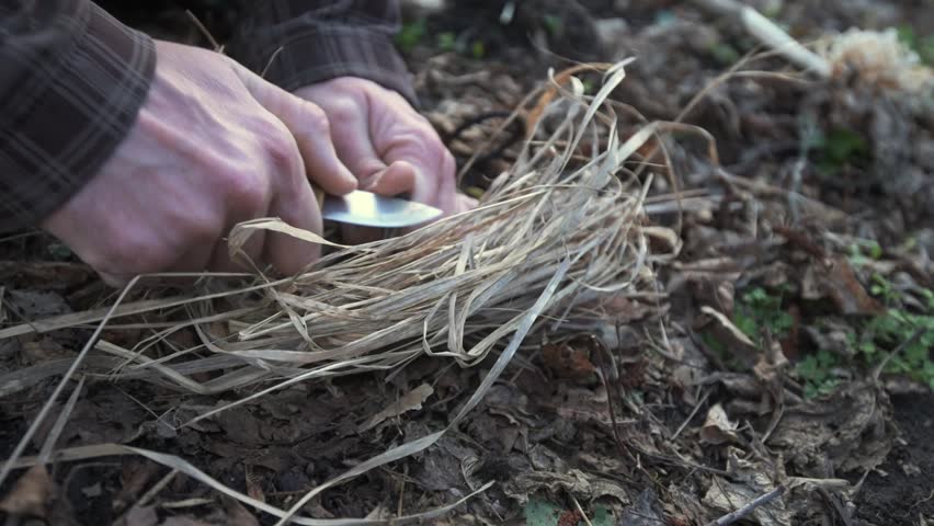 A man uses a knife and firestarter to create sparks and ignite a fire in dry grass. This survival technique captures the essence of outdoor skills and wilderness preparedness