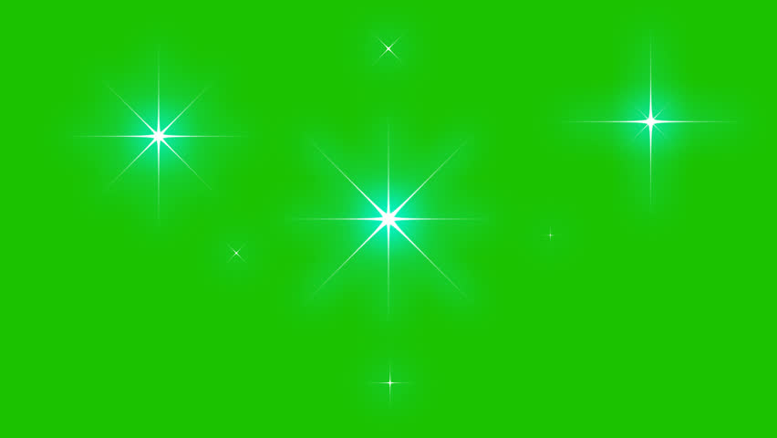 Shutterstock Video